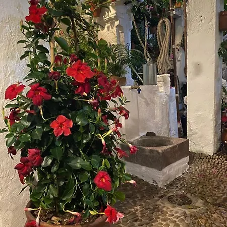 Atico Casa Lola شقة *
