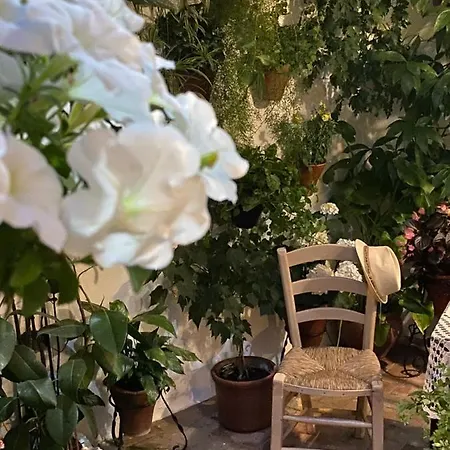 Atico Casa Lola شقة *