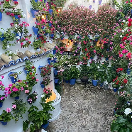 Apartment Atico Casa Lola