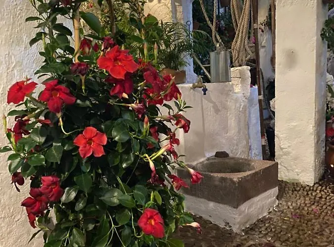 Atico Casa Lola Апартаменты *