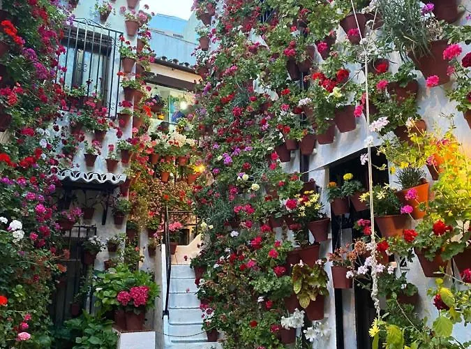 Atico Casa Lola * Kordoba