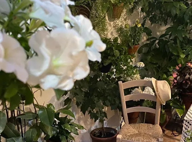 Atico Casa Lola Апартаменты *