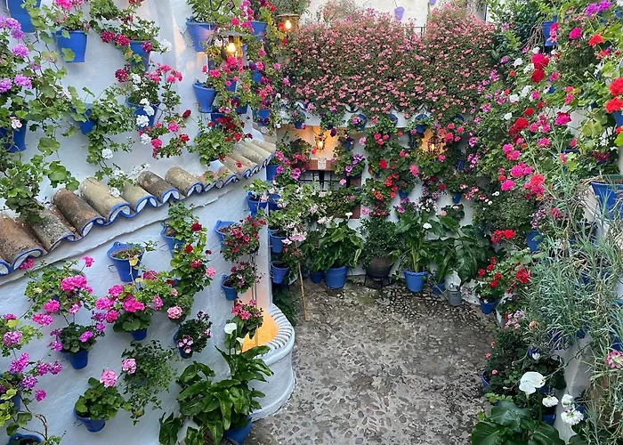 Apartament Atico Casa Lola