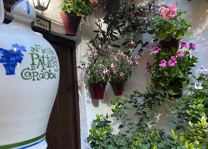 Atico Casa Lola * Kordoba