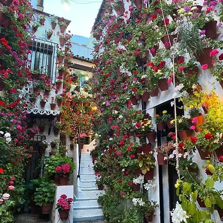 ático Casa Lola * Córdova