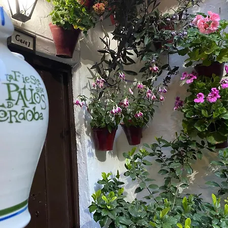 ático Casa Lola * Córdova